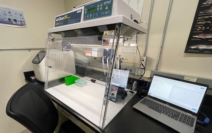 edna lab content image 2