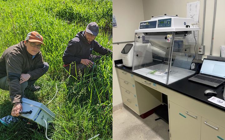 edna lab thumbnail image