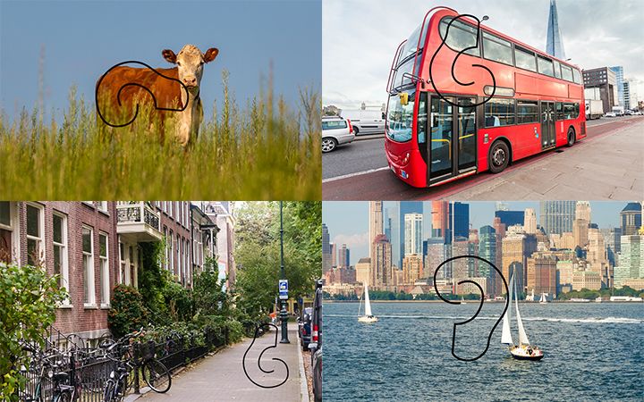 FDA CLAT aws content image