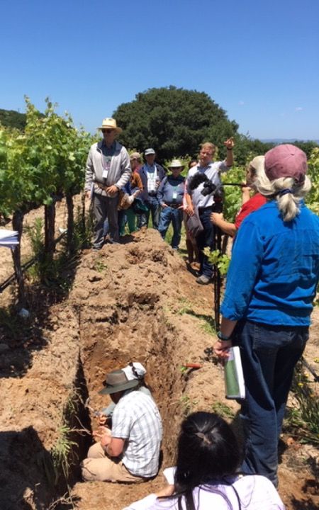 ICF scientists in their exploration of a soil pit. 
