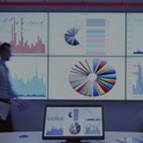 program Management image