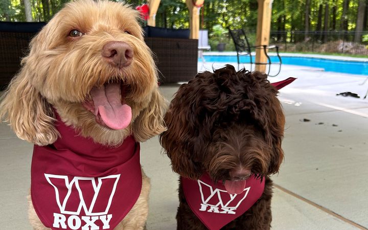 Tonja kyle article content image